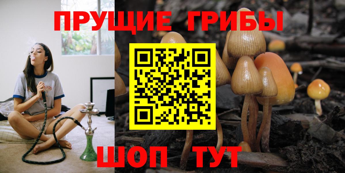 Псилоцибиновые грибы мицелий Железноводск